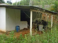 /album/galeria-de-fotos/mila-1584-jpg/